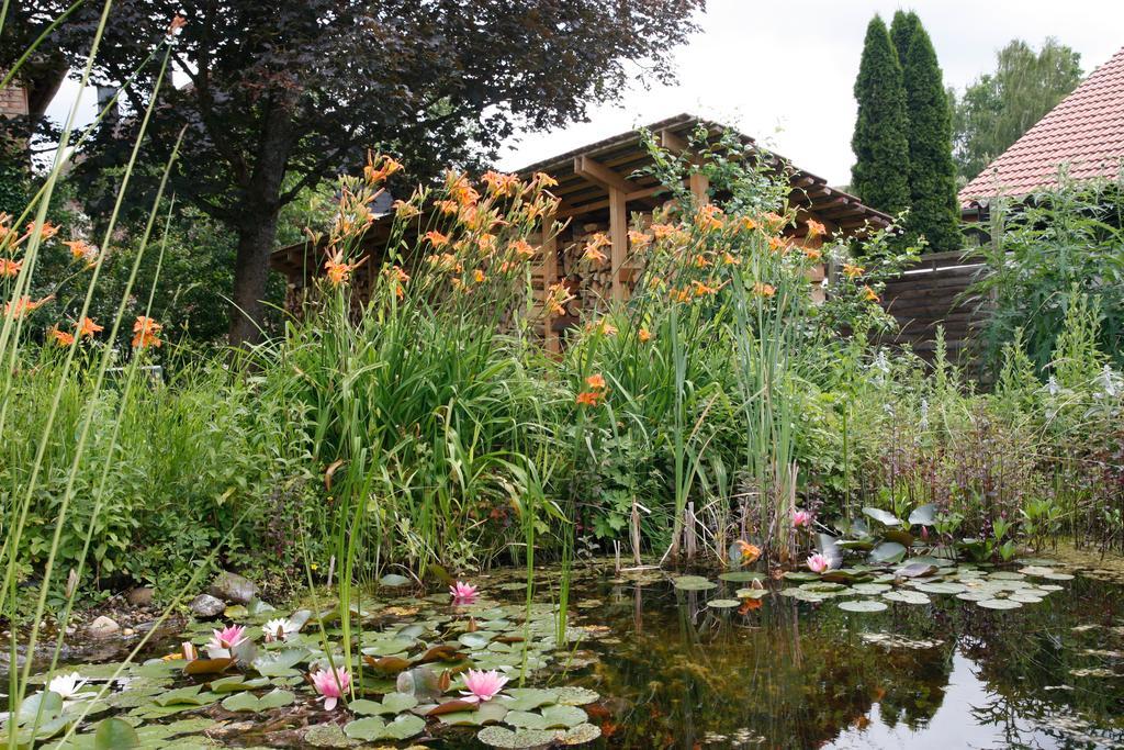Gemuetliche Gaestezimmer In Einem Neu Sanierten Fachwerkhaus Sachsenheim Dış mekan fotoğraf