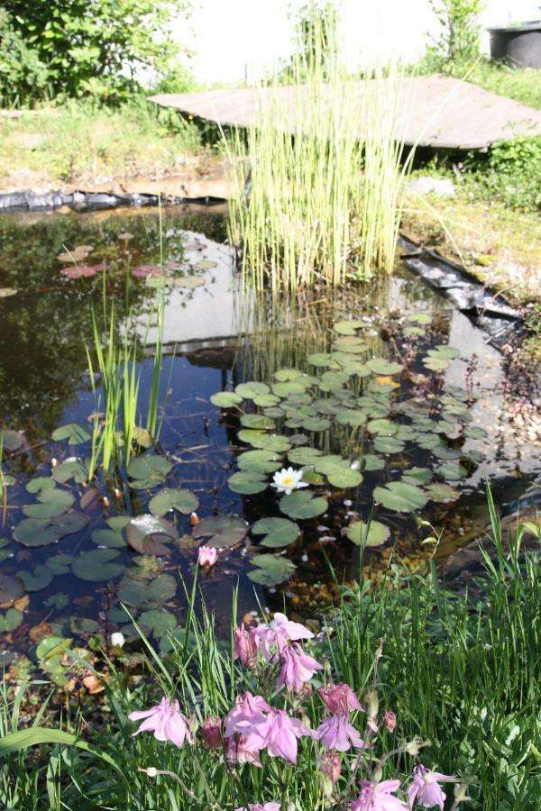 Gemuetliche Gaestezimmer In Einem Neu Sanierten Fachwerkhaus Sachsenheim Dış mekan fotoğraf